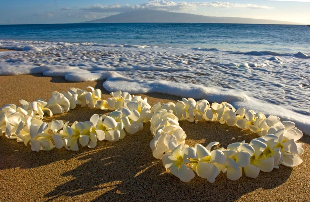 הונולולו Cozy Waikiki Getaway, Stroll To Beach With Free Parking מראה חיצוני תמונה